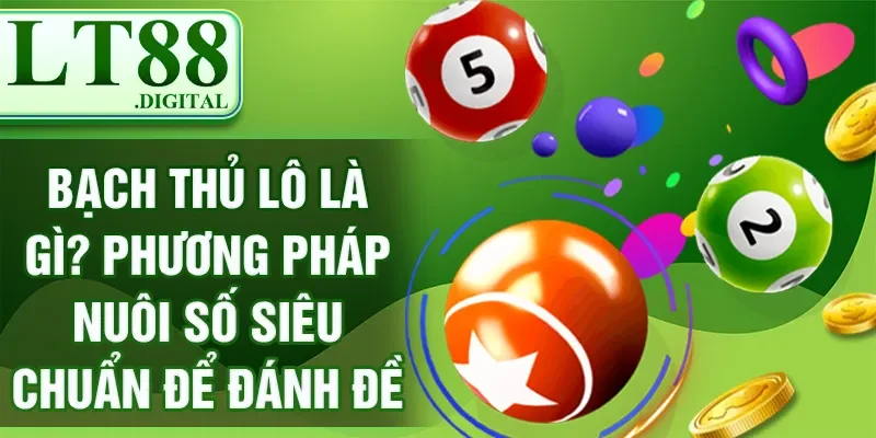 Bạch Thủ Lô Là Gì? Phương Pháp Nuôi Số Siêu Chuẩn Để Đánh Đề