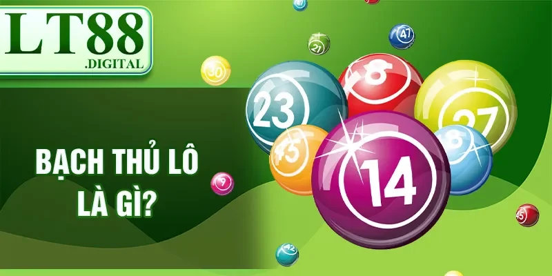 Bạch thủ lô là gì?
