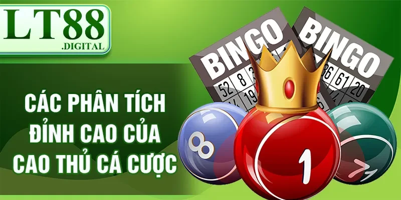Ngày Mai Đánh Số Mấy Để Luôn Ăn Đề Tại Nhà Cái Đỉnh Cao 2 Các phân tích đỉnh cao của cao thủ cá cược