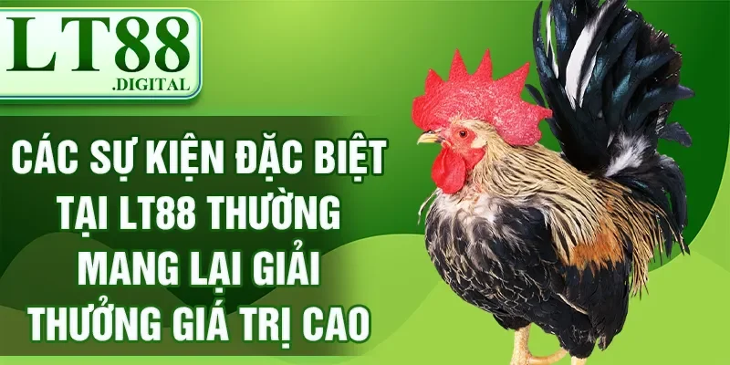 Các sự kiện đặc biệt tại LT88 thường mang lại giải thưởng giá trị cao