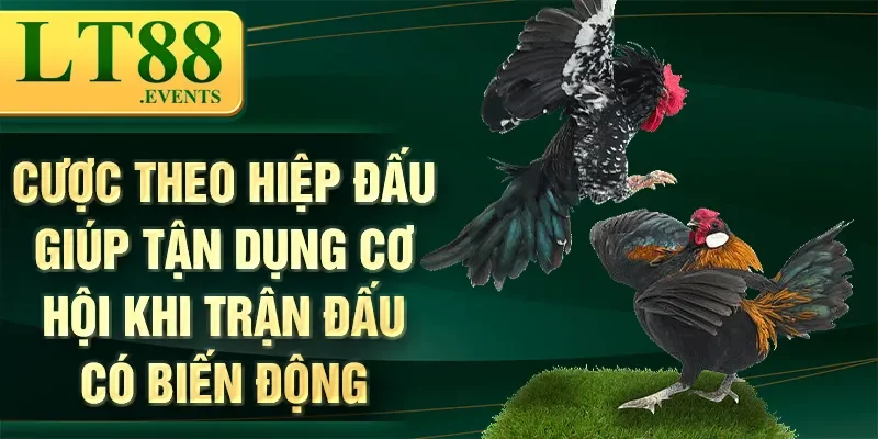 Đá Gà Tre Thomo – Trò Chơi Cá Cược Đầy Kịch Tính Và Hấp Dẫn 3 Cược theo hiệp đấu giúp tận dụng cơ hội khi trận đấu có biến động