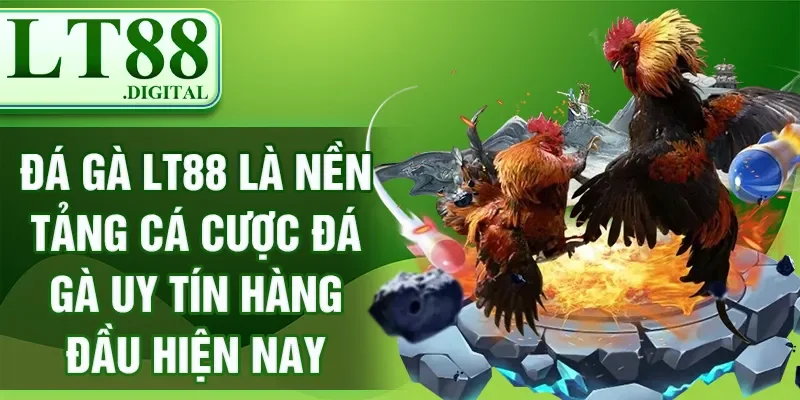 Đá gà LT88 là nền tảng cá cược đá gà uy tín hàng đầu hiện nay