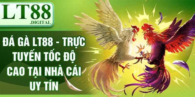Đá gà LT88 - Trực Tuyến Tốc Độ Cao Tại Nhà Cái Uy Tín