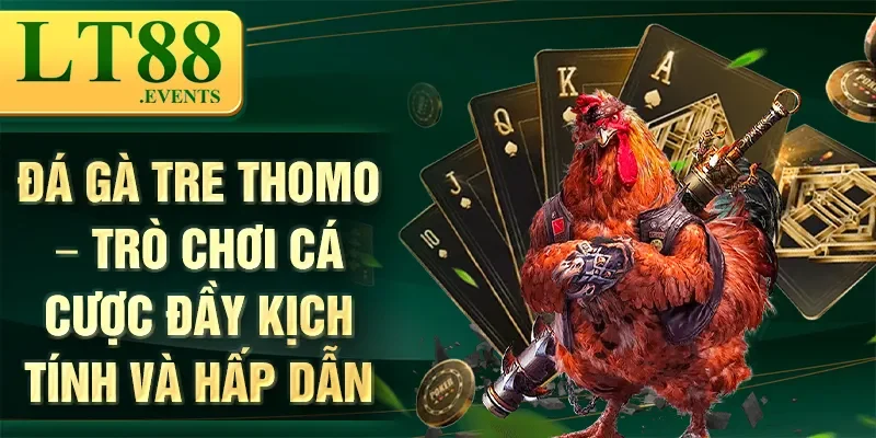 Đá Gà Tre Thomo – Trò Chơi Cá Cược Đầy Kịch Tính Và Hấp Dẫn