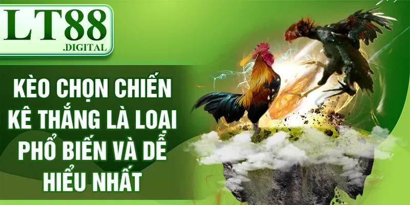 Kèo chọn chiến kê thắng là loại phổ biến và dễ hiểu nhất