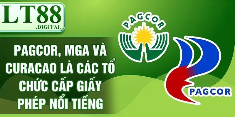 Giấy phép hoạt động LT88 công nhận