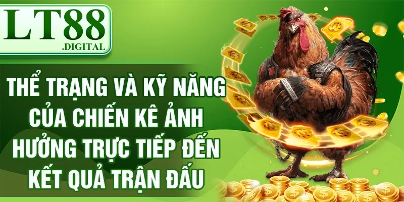 Thể trạng và kỹ năng của chiến kê ảnh hưởng trực tiếp đến kết quả trận đấu