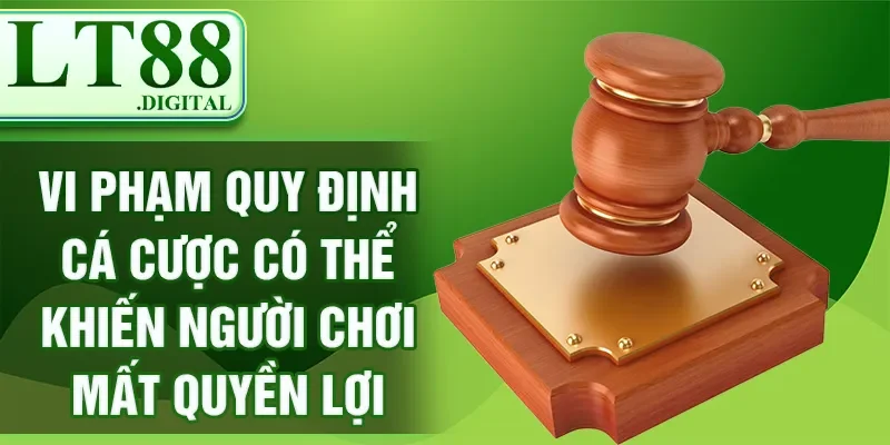 Vi phạm quy định cá cược có thể khiến người chơi mất quyền lợi
