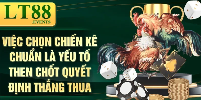 Đá Gà Tre Thomo – Trò Chơi Cá Cược Đầy Kịch Tính Và Hấp Dẫn 2 Việc chọn chiến kê chuẩn là yếu tố then chốt quyết định thắng thua